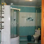 гірська хатина Holiday home *
