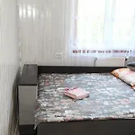 гірська хатина Holiday home *