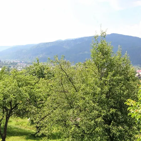 Holiday home гірська хатина *