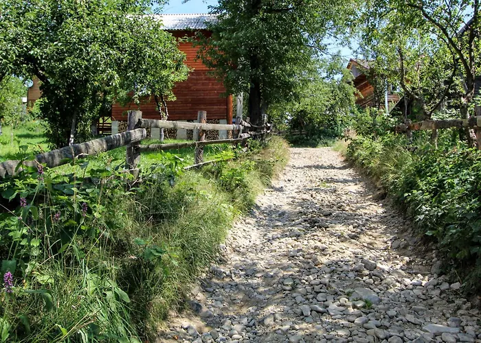 гірська хатина Mykulychyn